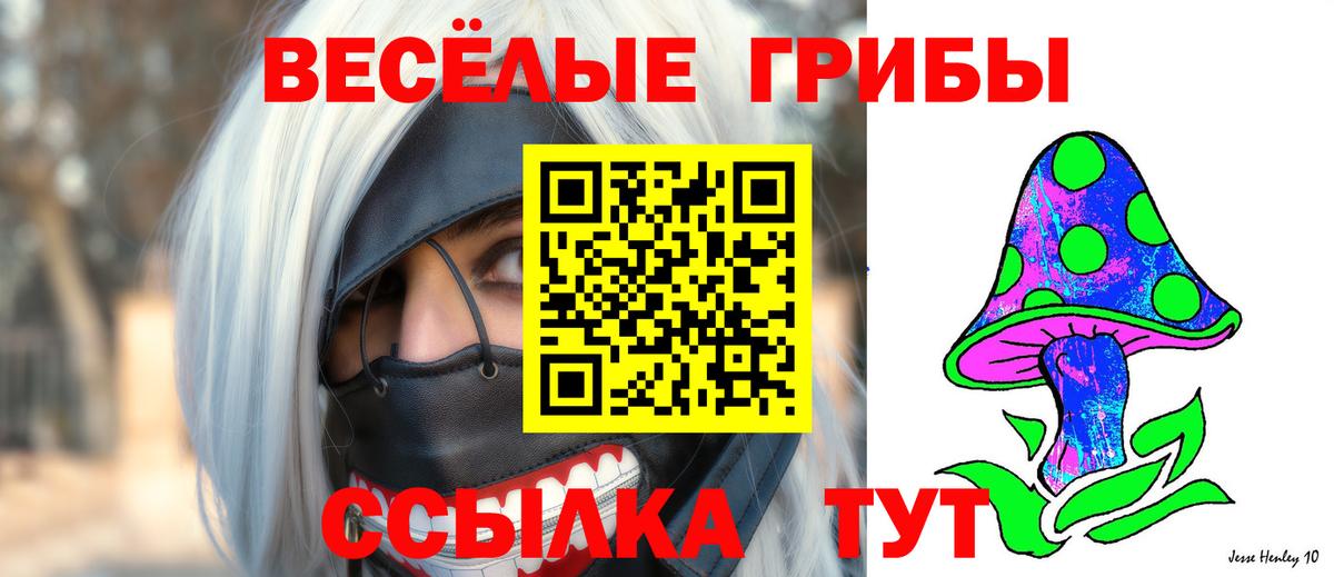 купить  сайты  Галлюциногенные грибы Psilocybe  Вход с VPN  Котлас 
